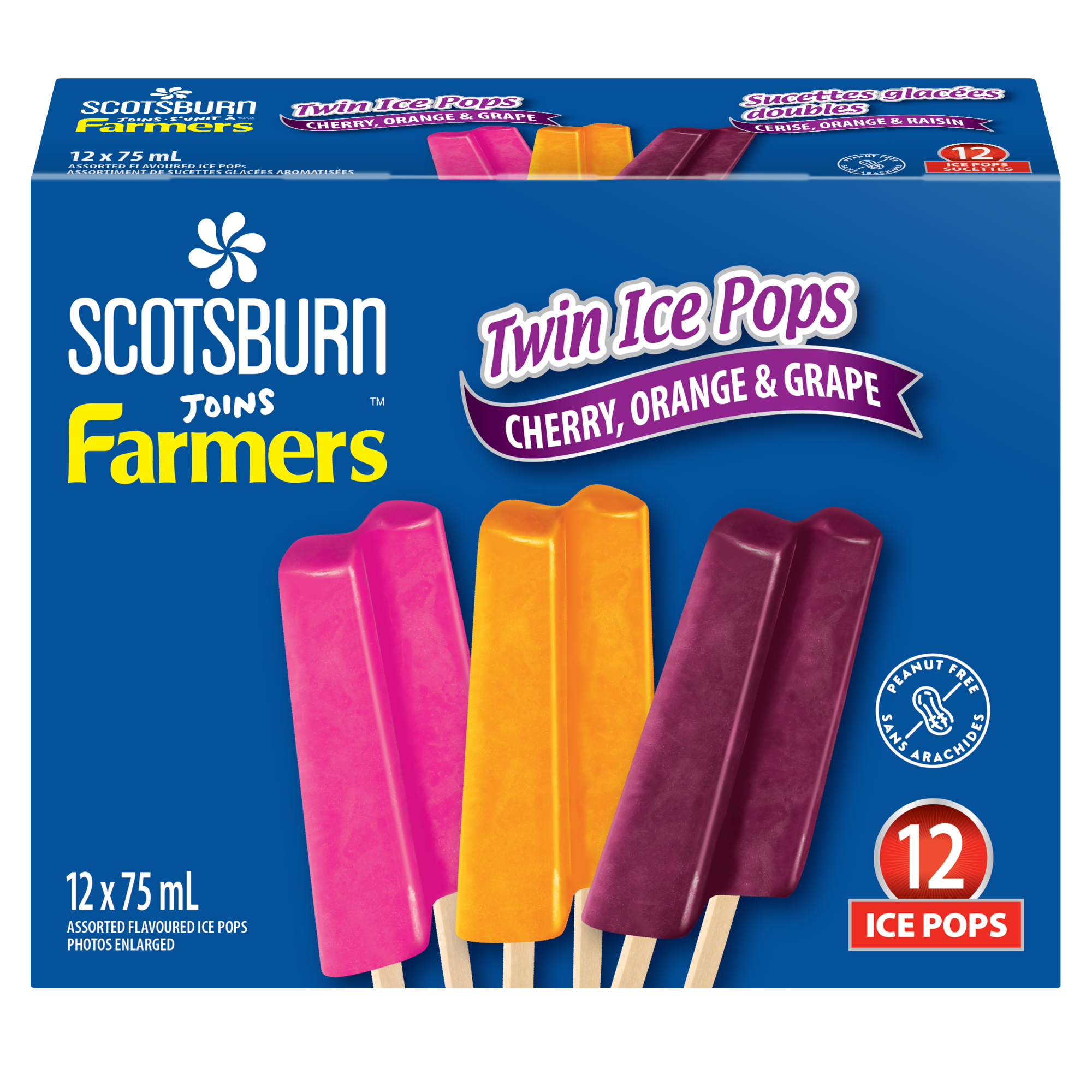 Bezet Sprong barbecue Twin Ice Pops | Farmers Dairy